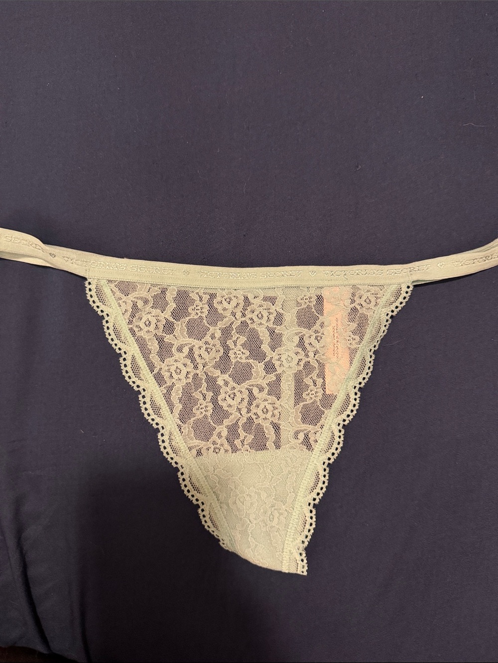 Victoria's Secret Lace Thong Panty in Pale Blue